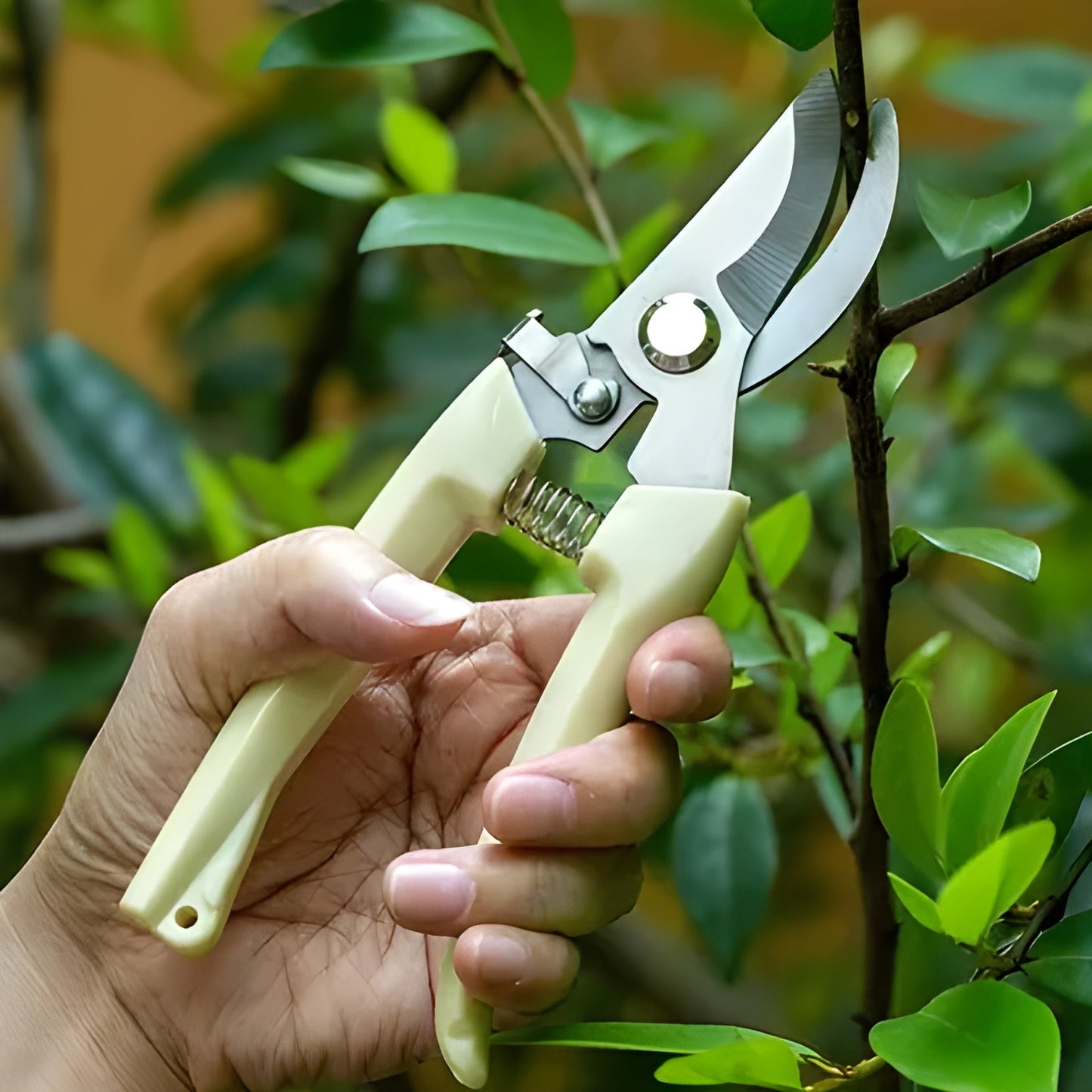 Garden Pruning Scissors – Carbon Steel Bypass Secateurs with Lock ALZAAR