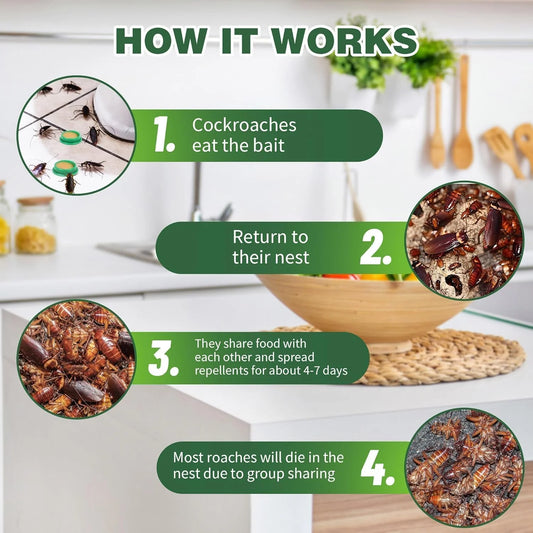 Diagram showing how a cockroach bait works in a kitchen setting