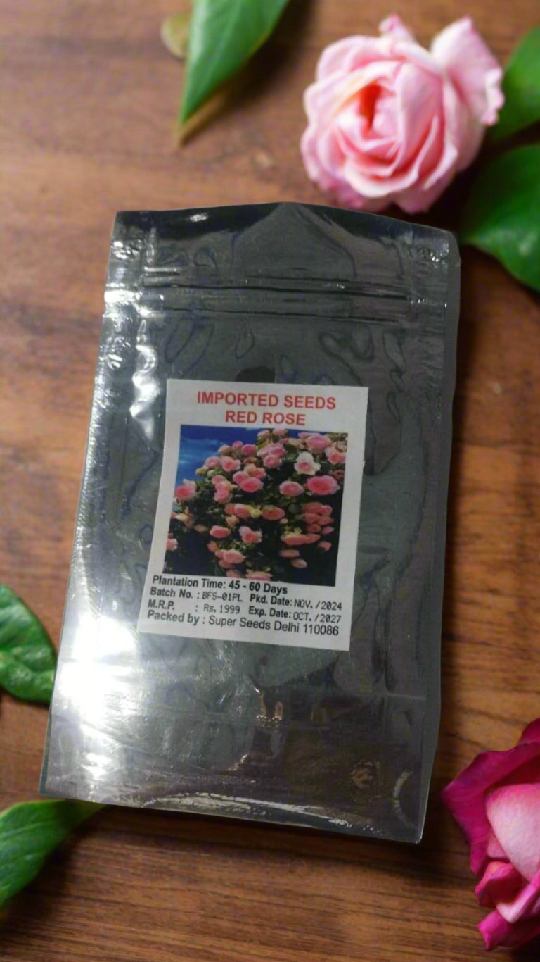 Elegant Climbing Rose Flower Seeds in a compact 10×8×4 cm packaging