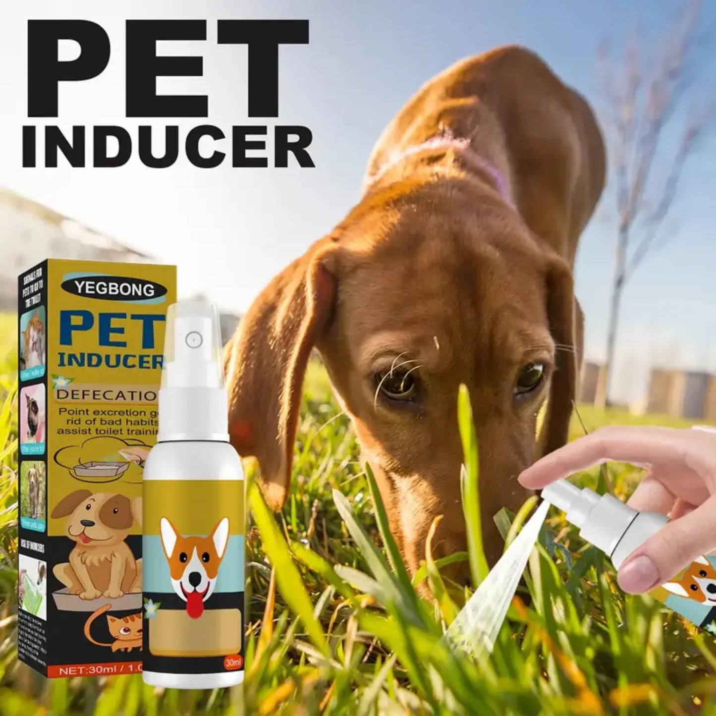 Eco-Friendly Pet Potty Training Spray (Pack of 2) 30ml