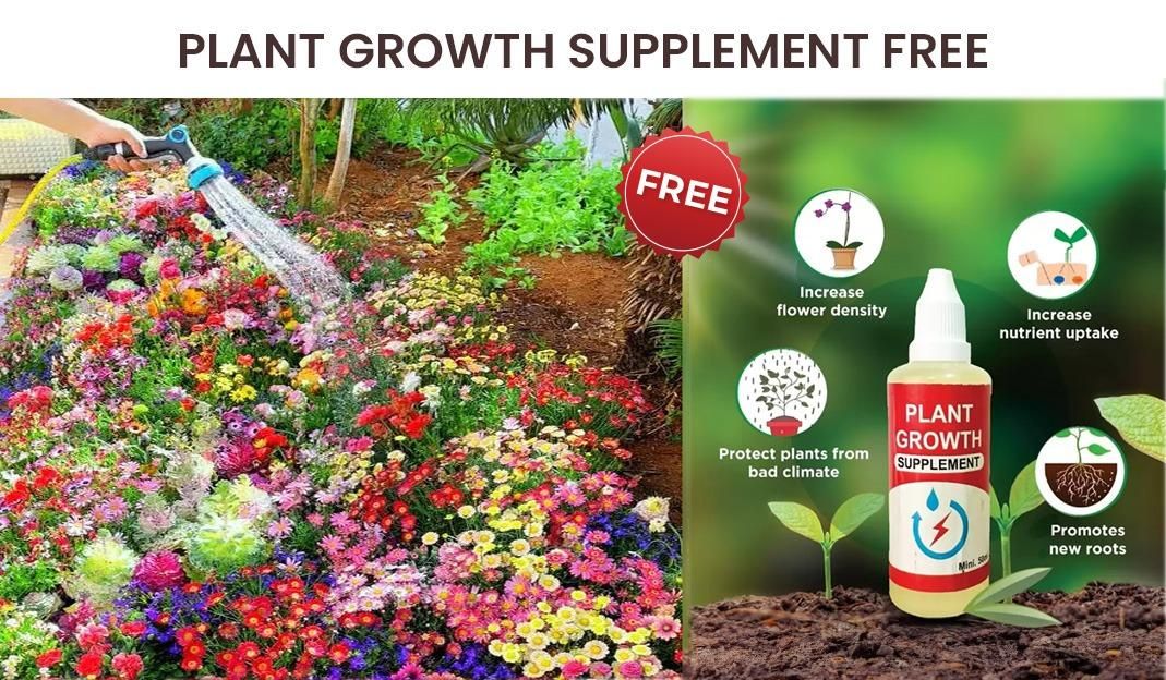Premium Flower Seeds (Pack of 100) Free Plant Growth Supplement Boost Your Garden