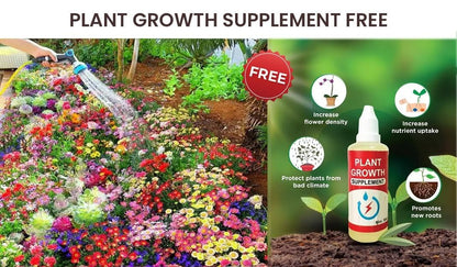 Premium Flower Seeds (Pack of 100) Free Plant Growth Supplement Boost Your Garden
