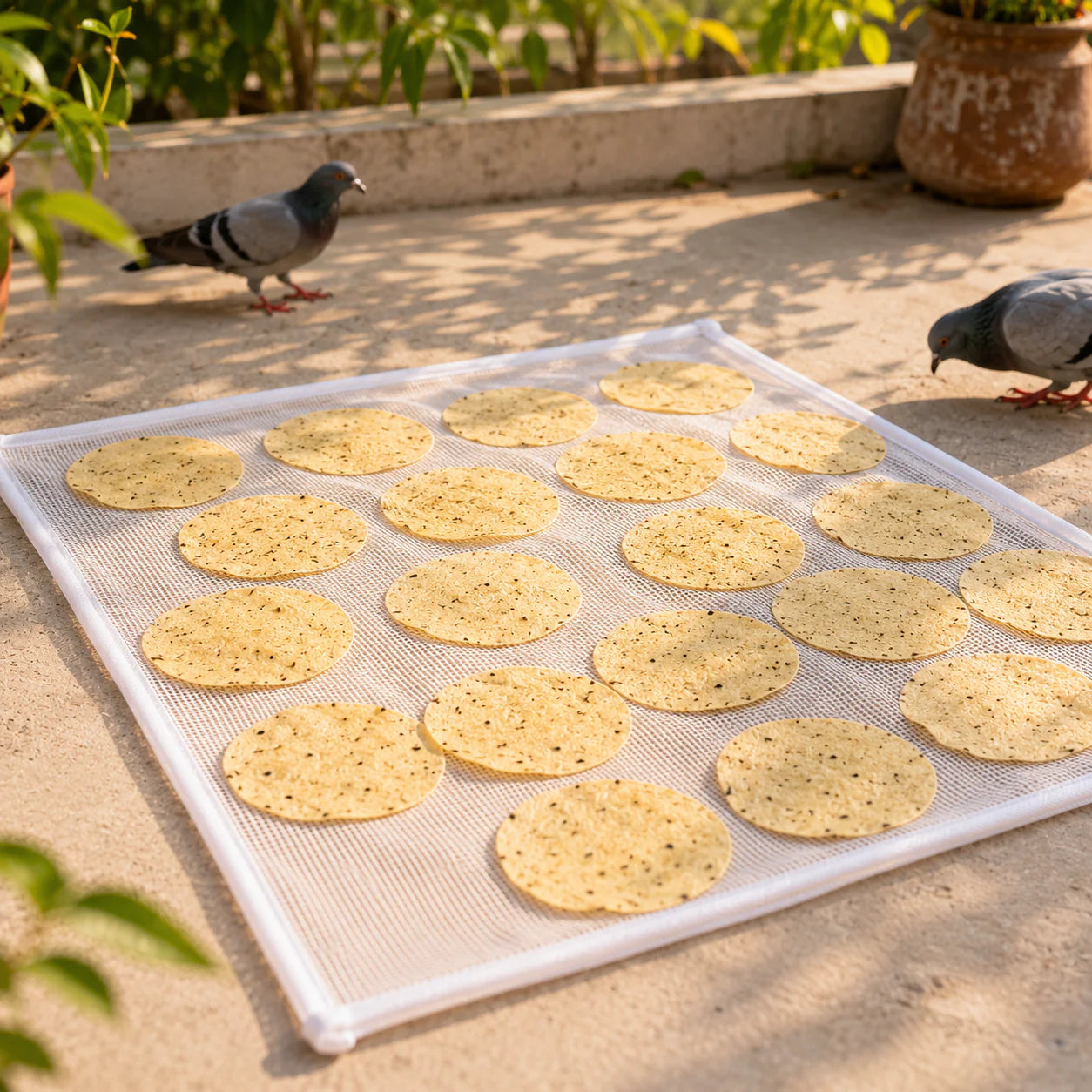 Dust-proof net cover on papad cloth protecting food while drying