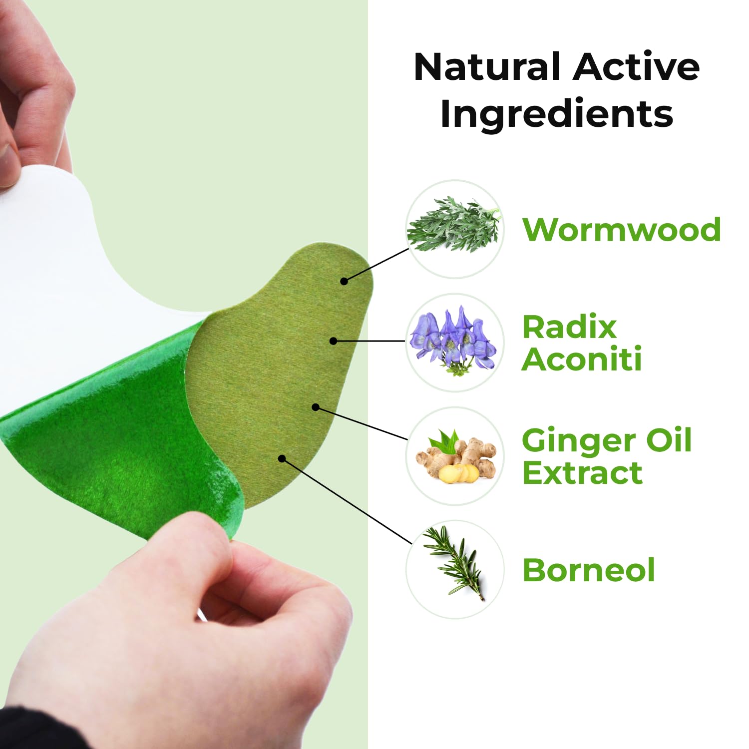 Product packaging with natural active ingredients labeled on a green background