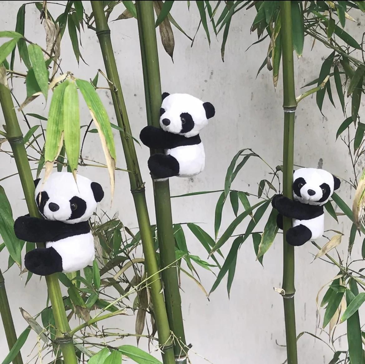 Stylish Refrigerator Cute Magnetic Panda for Home and Office (Pack of 4) 6a4mhe-0u