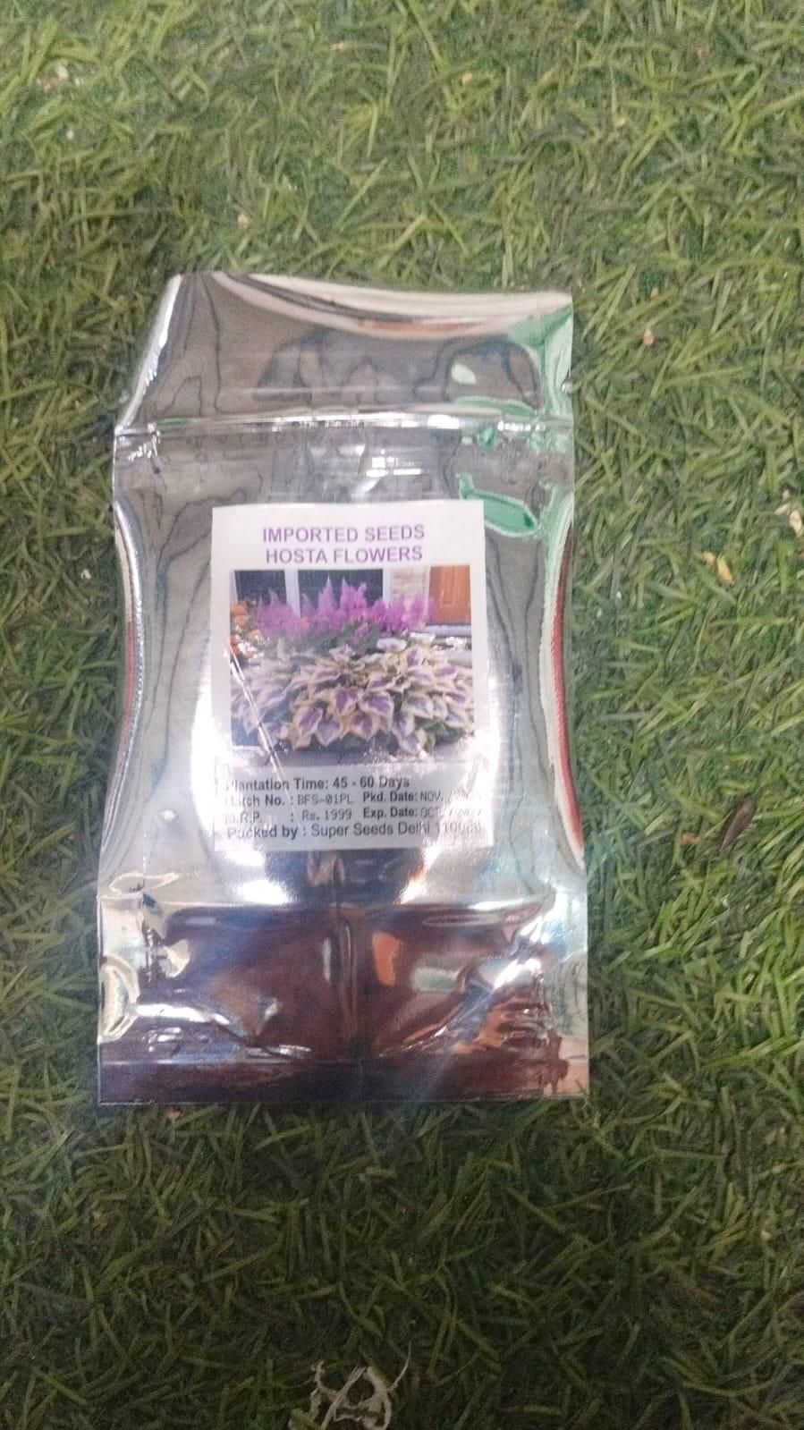 Shade-Tolerant and Cold-Hardy Hosta Flowers 6a4mhe-0u