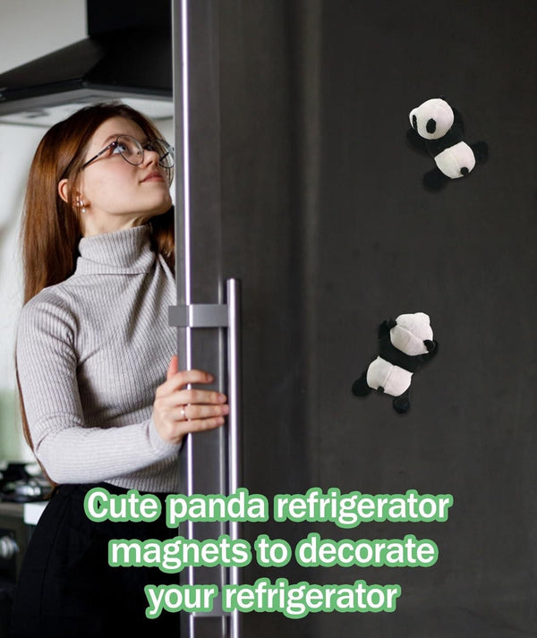 Panda magnet on refrigerator