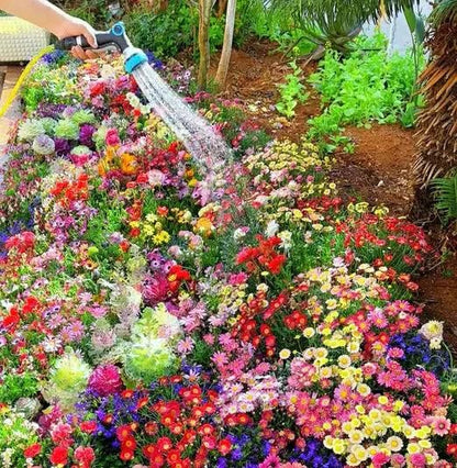 Premium Flower Seeds (Pack of 100) Free Plant Growth Supplement Boost Your Garden