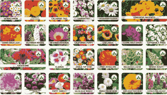 Premium Flower Seeds (Pack of 100) Free Plant Growth Supplement Boost Your Garden